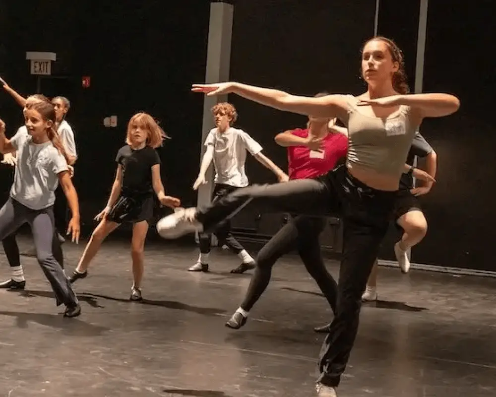 Professional musical theater training