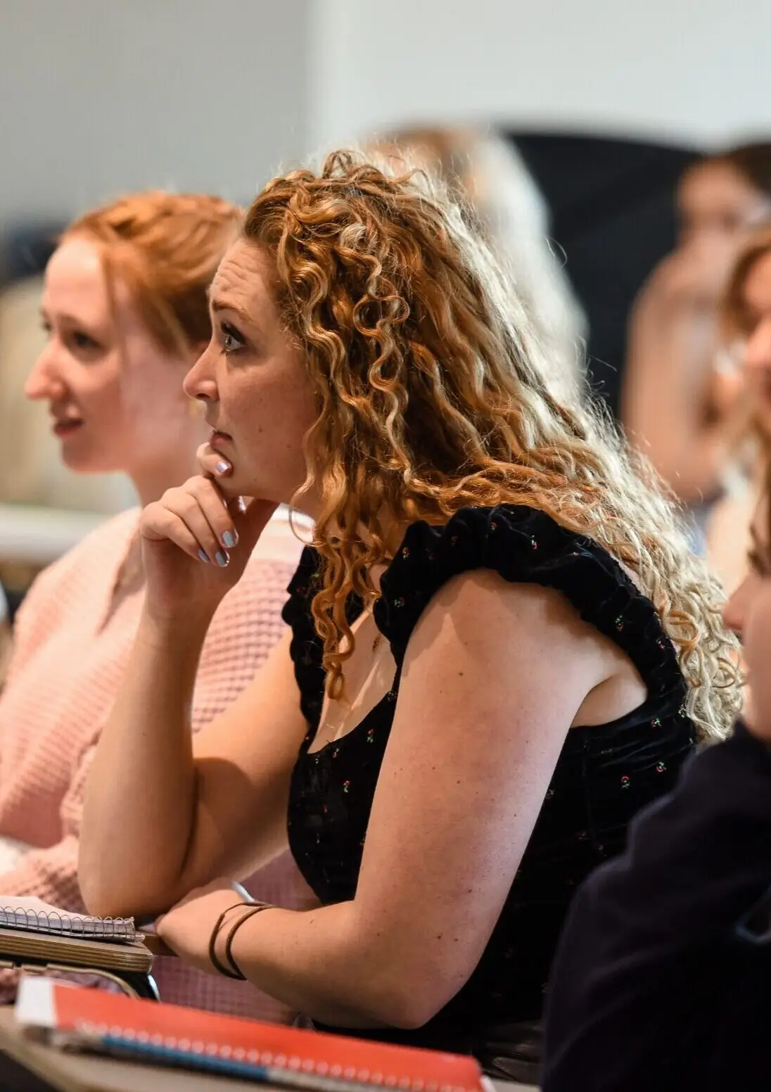 IMPACT program overview image 1